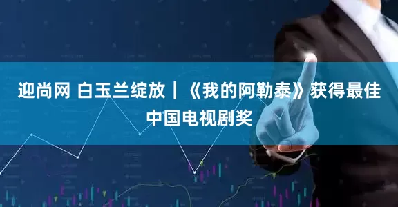 迎尚网 白玉兰绽放｜《我的阿勒泰》获得最佳中国电视剧奖