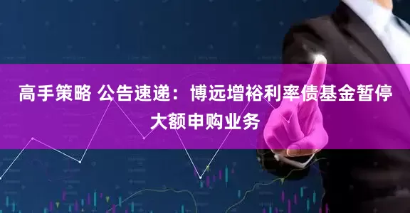 高手策略 公告速递：博远增裕利率债基金暂停大额申购业务