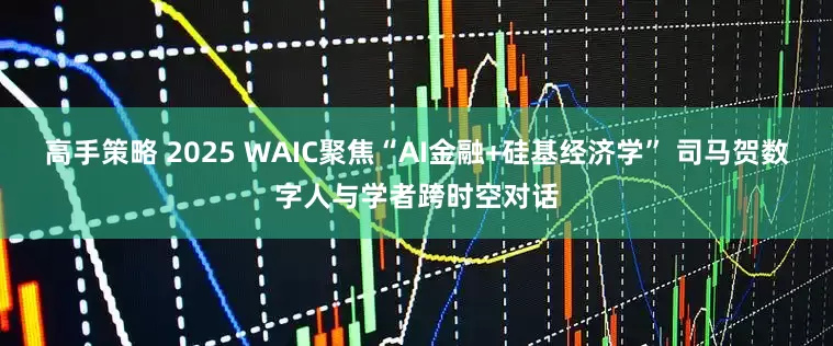 高手策略 2025 WAIC聚焦“AI金融+硅基经济学” 司马贺数字人与学者跨时空对话