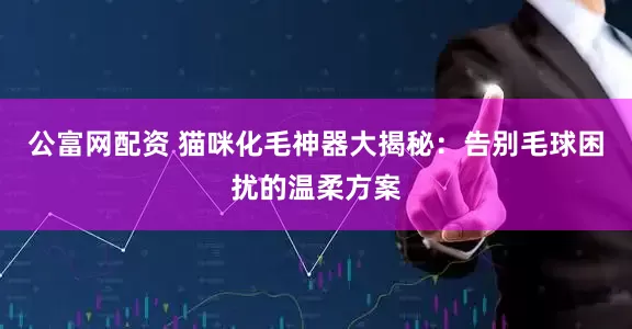 公富网配资 猫咪化毛神器大揭秘：告别毛球困扰的温柔方案